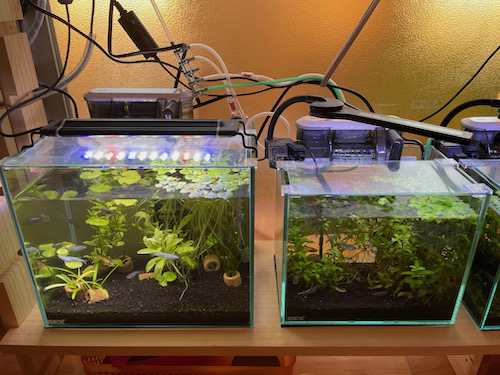 水作 プロホース エクストラ L サイズで水槽のメンテナンス作業を確実に時短できました The Pooh Files